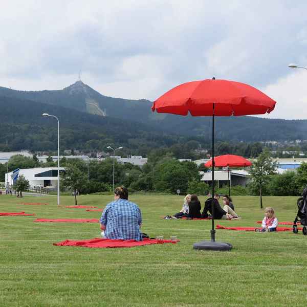 Pohoda na trávníku