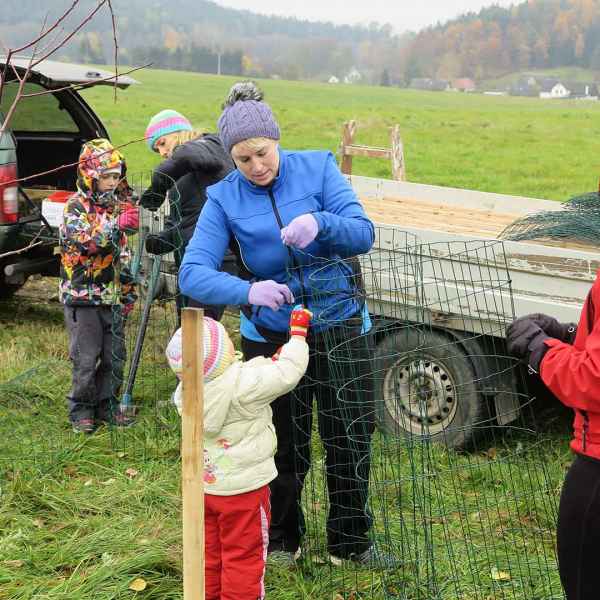 Výsadba v akci