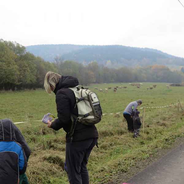 Sázení v plném proudu