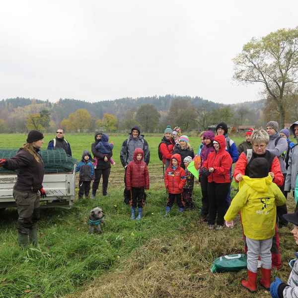 Připraveni na výsadbu