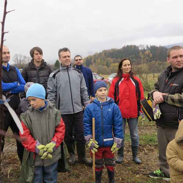 Připraveni na výsadbu