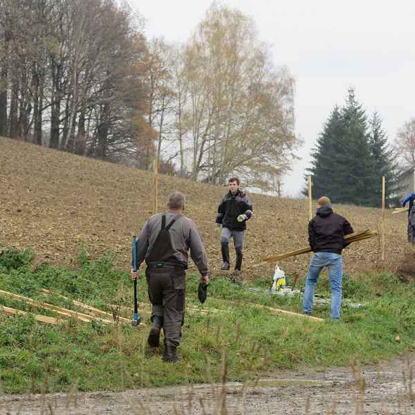 Výsadba v plném proudu