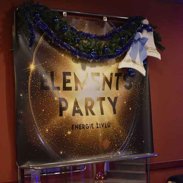 Elements party