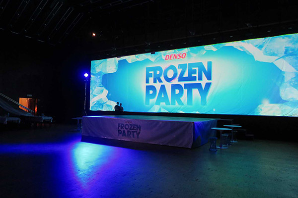 Vánoční večírek - Frozen párty 2016