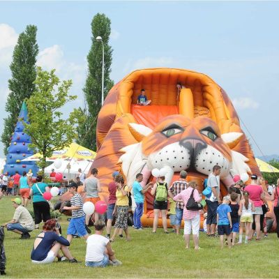 denso cirkus 2015