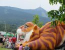 denso cirkus 2015