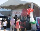 denso rise divu