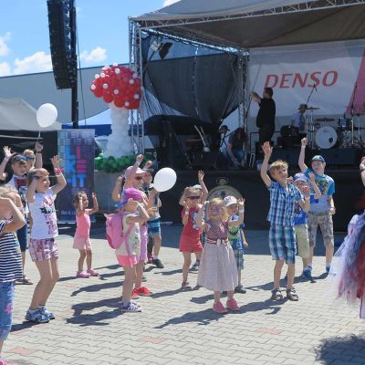 denso rise divu