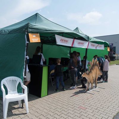 2018 dobrodruzstvi densosaura