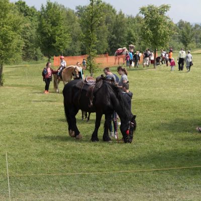 2018 dobrodruzstvi densosaura