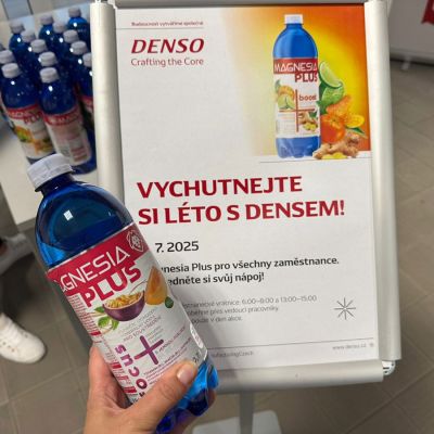 letni akce