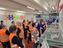 denso qsmr audit