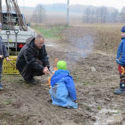 sazeni stromu 2015