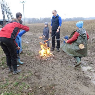 sazeni stromu 2015