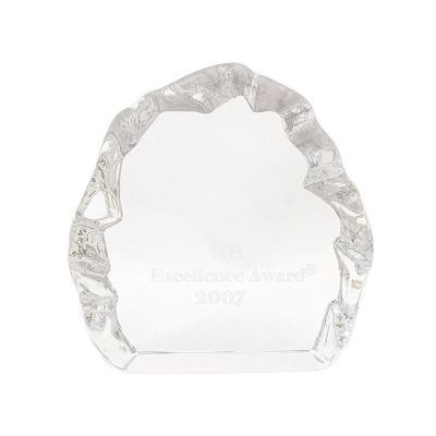 excellence award
