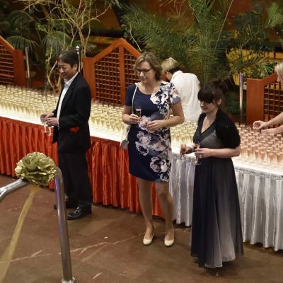 energie zivlu 2017