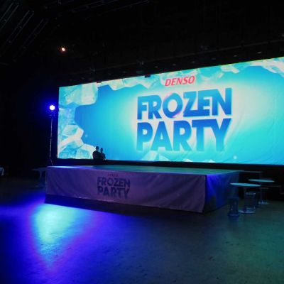 frozen party 2016