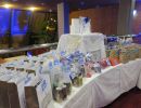 frozen party