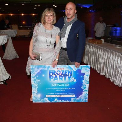 frozen party 2016