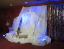 frozen party 2016