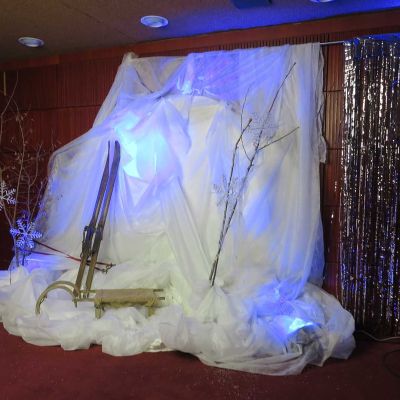 frozen party 2016