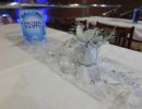 frozen party 2016