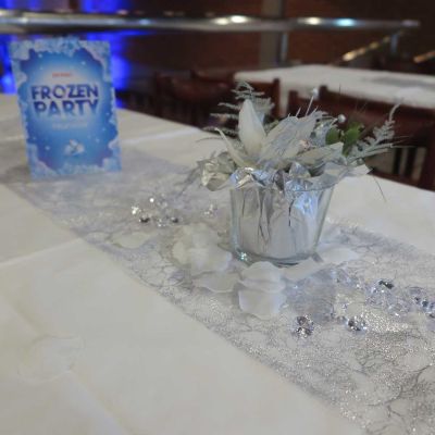 frozen party 2016